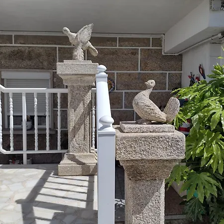 Piso Bajo De 3 Sin Cocina