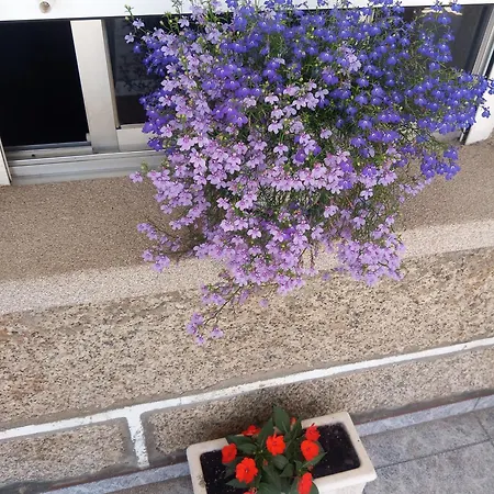 Piso Bajo De 3 Sin Cocina Lägenhet